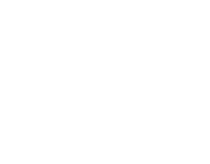Guanaco Tech Ltd.